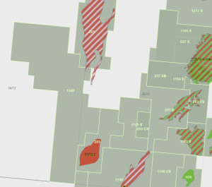 Concedo has completed the farm-in to the two licences PL1182S and PL1049